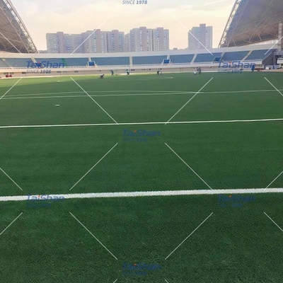สนามกีฬากลางแจ้ง สนามกีฬาที่มีสีที่กําหนดเอง
