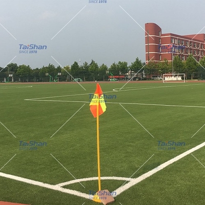 สนามกีฬากลางแจ้ง สนามกีฬาที่มีสีที่กําหนดเอง