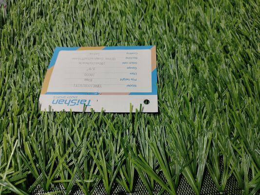 หญ้าเทียมฟุตบอลความหนาแน่นสูง ด้ายใยสังเคราะห์คุณภาพสูง (High Dtex) การระบายน้ำดีเยี่ยม เหมาะสำหรับสนามอาชีพและสนามทั่วไป สำหรับผู้ค้าส่งและตัวแทนจำหน่าย
