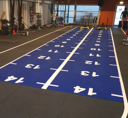 16mm Pile Height Sled Turf with Customized Color Pattern and UV Resistance for Gym Fitness