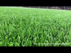 โครงการใหม่ไท่ซาน สนามกีฬาเทียมเบลีซ